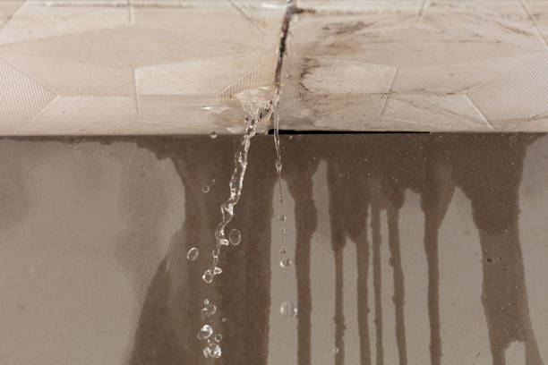 Professional Water Damage Inspection technician working in Shenandoah, TX